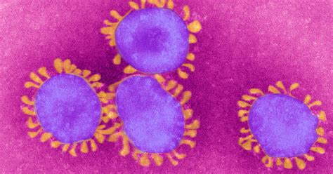 coronavirus metal box|Study shows how long coronavirus stays alive on .